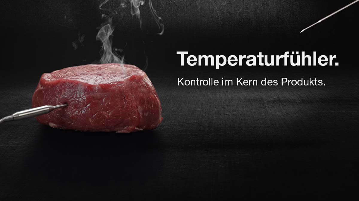 Temperatursonden