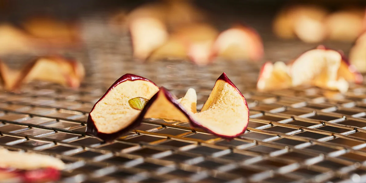 Thin apple pieces drying on a smoker rack
