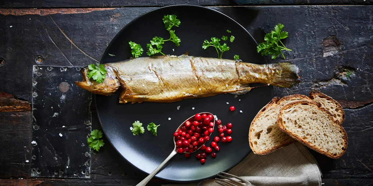 Hot-smoked trout served on a plate with bread and garnish
